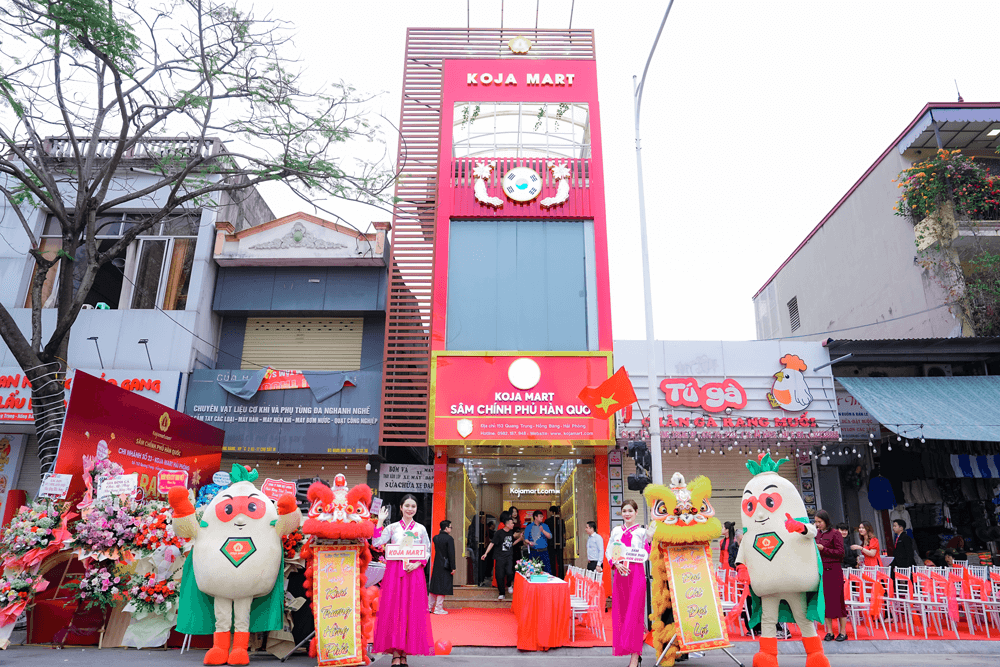 Hoạt động Nổi Bật