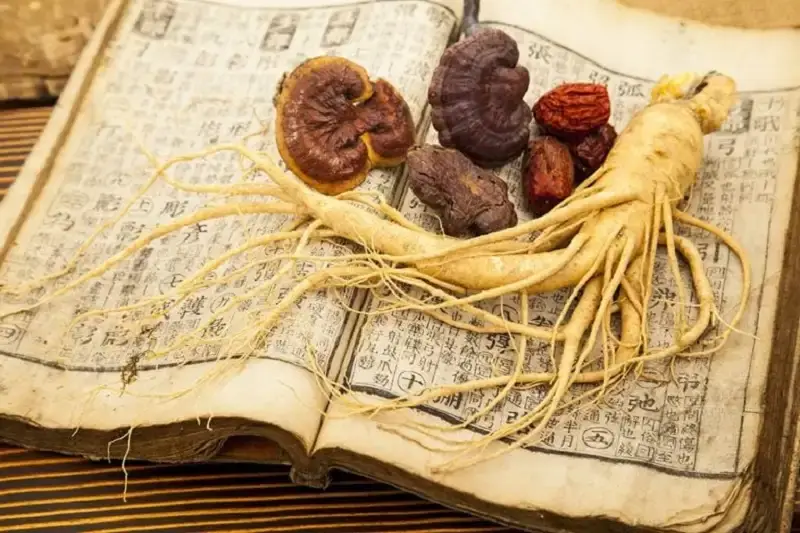 Cách ngâm rượu nấm linh với nhân sâm