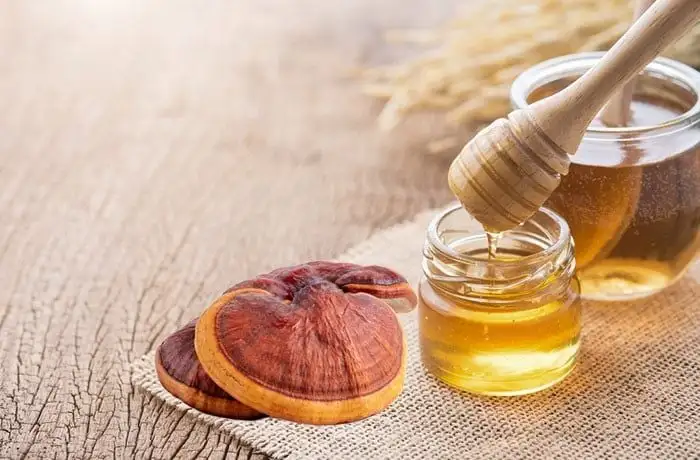 Nấm linh chi ngâm mật ong