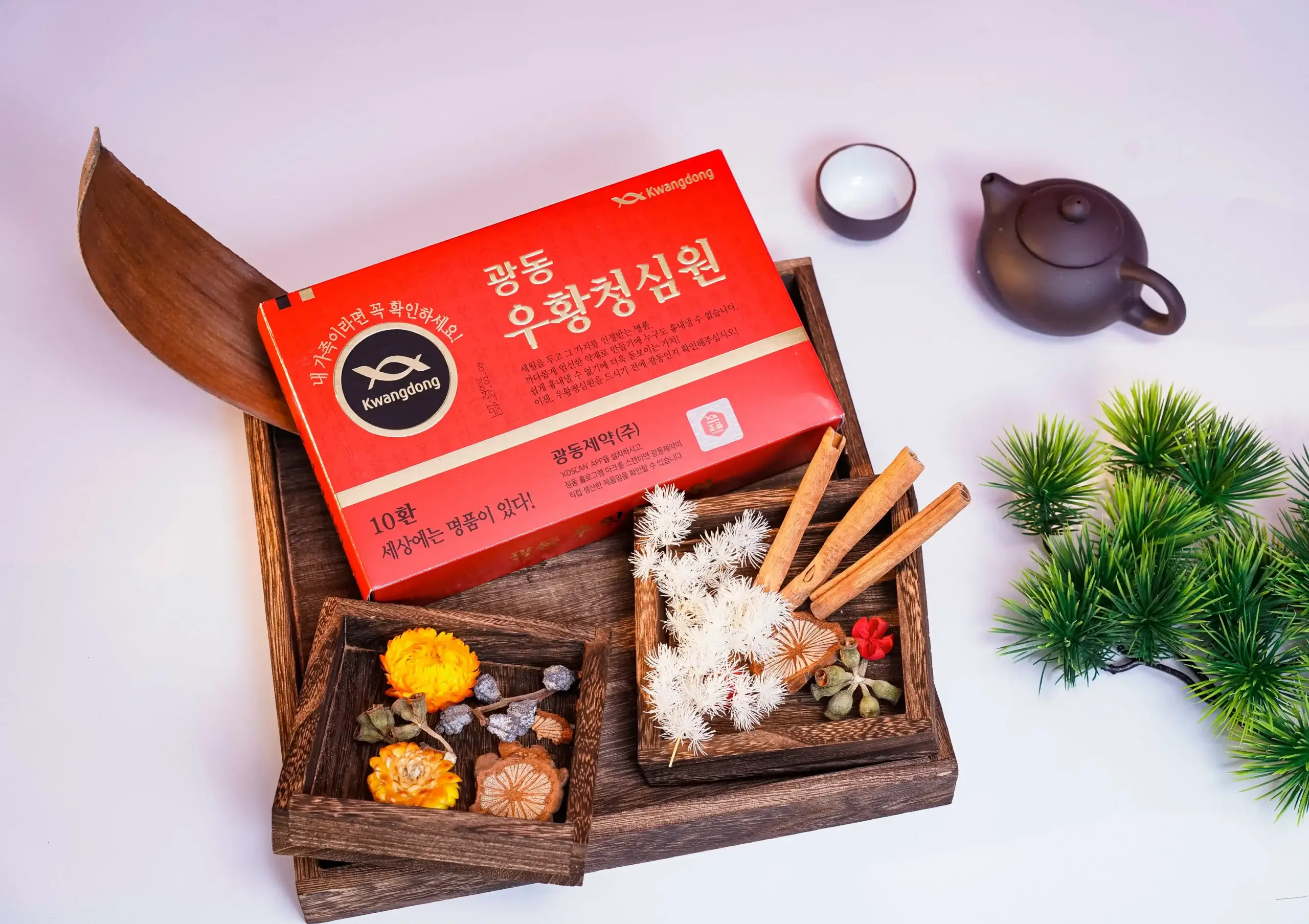 An cung ngưu hoàng Kwangdong tổ kén