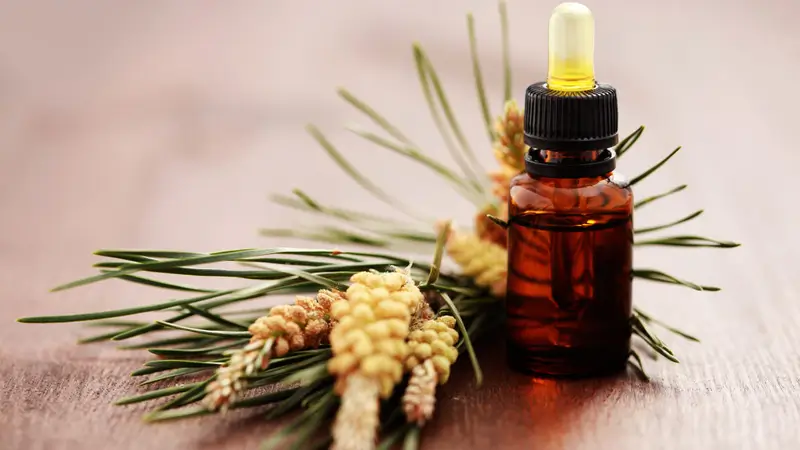 Những ai không nên uống tinh dầu thông đỏ