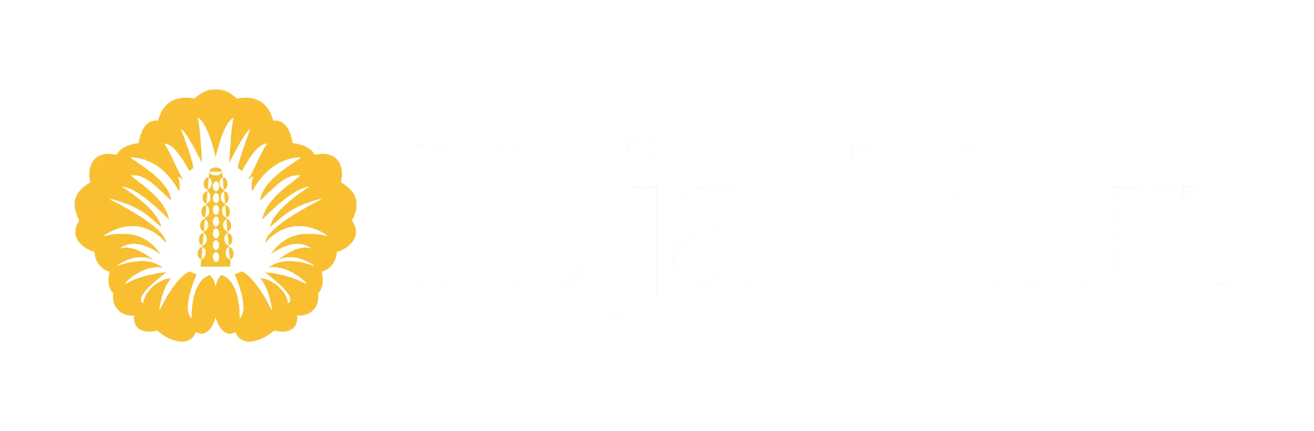 HUY NHÂN SÂM – KOJAMART
